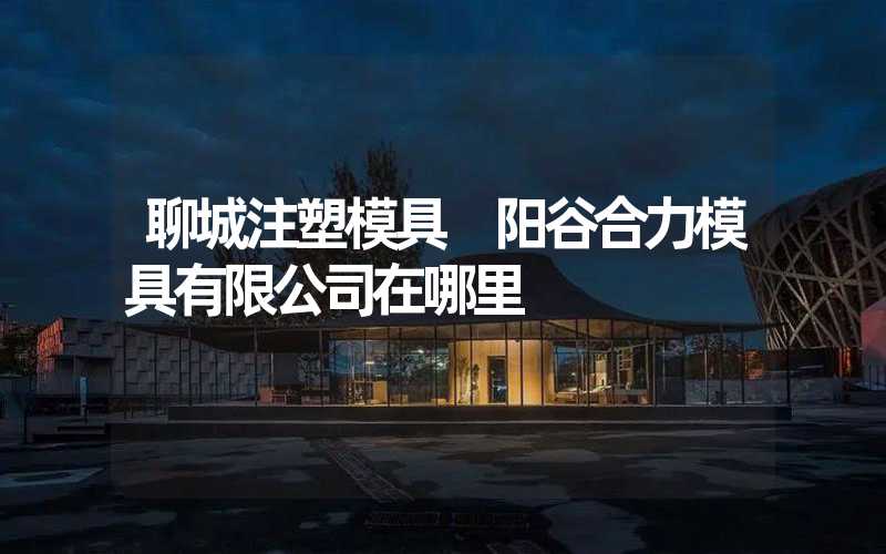 聊城注塑模具 阳谷合力模具有限公司在哪里